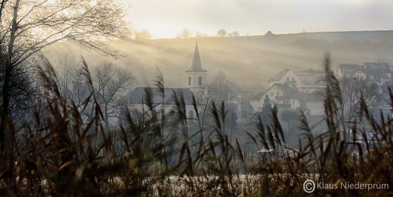 Appartement Welcome Mit Seeblick Schalkenmehren